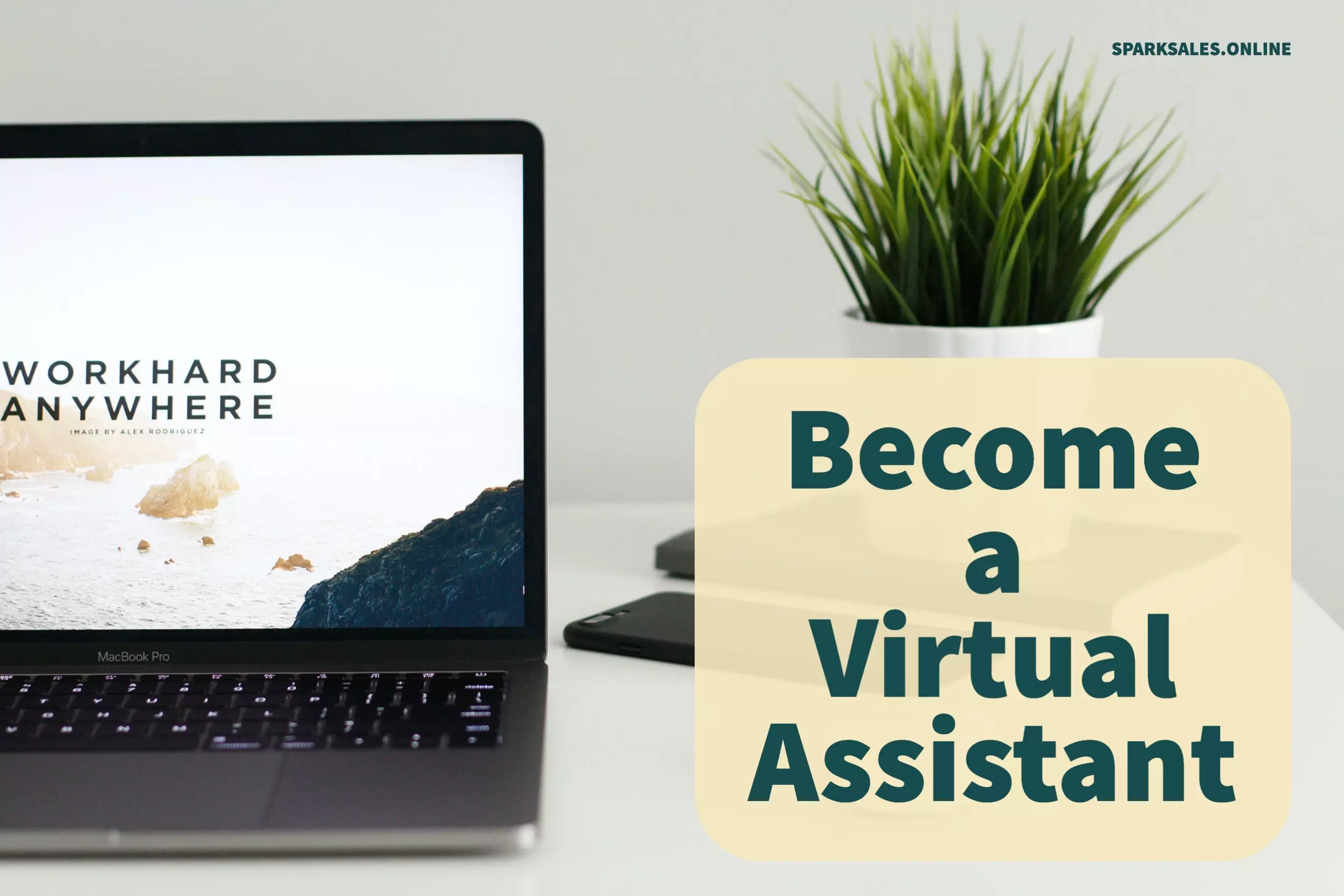 Become a Virtual Assistant